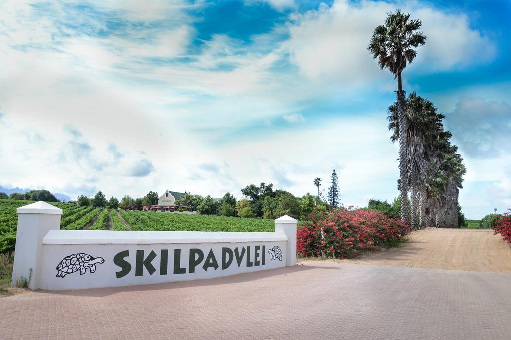 Skilpadvlei Wine Farm Stellenbosch Eksteriør bilde